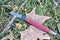 Folding grafting knife red handle green grass dry leaf