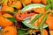 Folding knife orange handle fresh ripe tangerines green leaves background