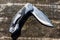 Folding knife on the rustic wooden background