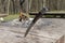 Folding knife stuck upright in an old picnic table