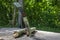 Folding knife stuck upright in an old picnic table