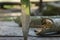 Folding knife stuck upright in an old picnic table