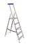 Folding Ladder