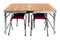 Folding picnic table, there are chairs under the table, on a white background