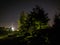 Foliage against the sky. Night village landscape.