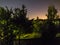 Foliage against the sky. Night village landscape.