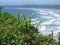 Foliage, Blossoms and Conifers Overlooking Hazy Northern California Surf and Beach