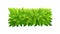 Foliage bush of green leaves. Horizontal rectangular short banner. Green leaves texture. Thick thickets shrubs. For spring and