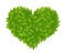 Foliage bush of green leaves In the shape of a heart. Green leaves texture. Love for nature and ecology. Thick thickets