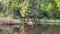 Foliage from forest on the water`s edge of the Chippewa Flowage peacefully reflects onto the water`s surface