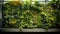 foliage greenhouse interior