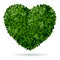 Foliage heart