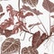 Foliage seamless pattern, various plant and tree in brown on white background.