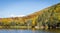 Foliage in the White Mountains National Forest, New Hampshire, USA