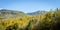 Foliage in the White Mountains National Forest, New Hampshire, USA