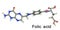 Folic acid molecule, Vitamin B9