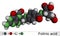 Folinic acid, leucovorin molecule. It is folate analog, used to treat colorectal cancer, pancreatic cancer. Molecular model. 3D