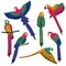 Folk Patterned Isolated Parrot Set