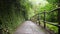 Follow First Person View Shot: Walking Jungle Forest Path. Calm and Carefree Lifestyle Travel 4K Slowmotion Footage. Bali,