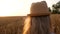 Follow me POV pretty child girl in straw hat plaid dress walking in summer wheat field leading her father. Local travel.