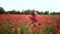 Follow me. Spring girl in flower poppy field. Woman in flowers.