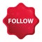 Follow misty rose red starburst sticker button