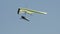 Follow shot of a hang glider in flight