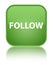 Follow special soft green square button