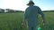 Follow to unrecognizable young farmer walking through the cereal field and touching green wheat ears on summer day