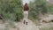Following behind young woman walks mountain trail Rocks Hiker Rraveler