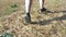 Following female legs running in black sneakers and compression knee socks on grass. Back detail view of body movement.