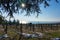 Folly arboretum and vineyard at Lake Balaton in Badacsonyors on a sunny winter day