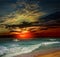 Folly Beach Ocean Sunset