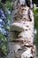 Fomitopsis betulina. Tinder mushroom on the trunk of an old birch