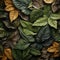 Fondo con detalle y textura de varios melocotones con hojas de color verde y fondo de tonos suaves.