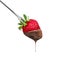 Fondue strawberry