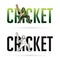 Font Cricket with Cricketer players action cartoon sport graphic