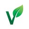 Font leter v green nature leaf plant logo design