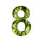 Font on micro greenery. The digit eight, 8 cut out of paper on the background of sprouts of fresh bright micro greenery for food.