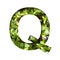 Font on micro greenery. The letter Q cut out of paper on the background of sprouts of fresh bright micro greenery for food. Set of