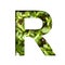 Font on micro greenery. The letter R cut out of paper on the background of sprouts of fresh bright micro greenery for food. Set of