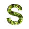 Font on micro greenery. The letter S cut out of paper on the background of sprouts of fresh bright micro greenery for food. Set of