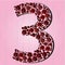 font type alphabet letter rose filled flower floral feminine pink red