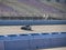 Fontana, California USA - Nov. 8, 2018: Mazda Race car at Auto Club Speedway Pit Lane