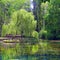 The Fonti del Clitunno lake in Umbria - Italy