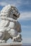 Foo Dog In The Mojave Desert