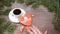 Food art.Broken heart. Fir tree, a cup of fresh-brewed coffee and heart-shaped gingersnaps placed on wooden background