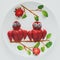 Food art creative concept. Owls sitting on a branch. Strawberry, blueberry, chocolate, mint composition. Top view.