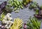 Food background. Fresh garden vegetables on grey background, top view. Cauliflower, beans, peas, chard, fava beans - organic veggi