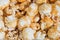 Food background of grains of popcorn macro